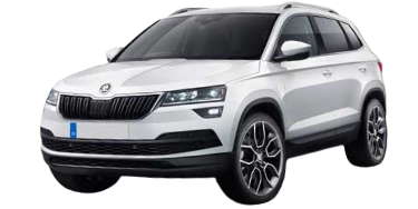 SKODA KAROQ 17-21